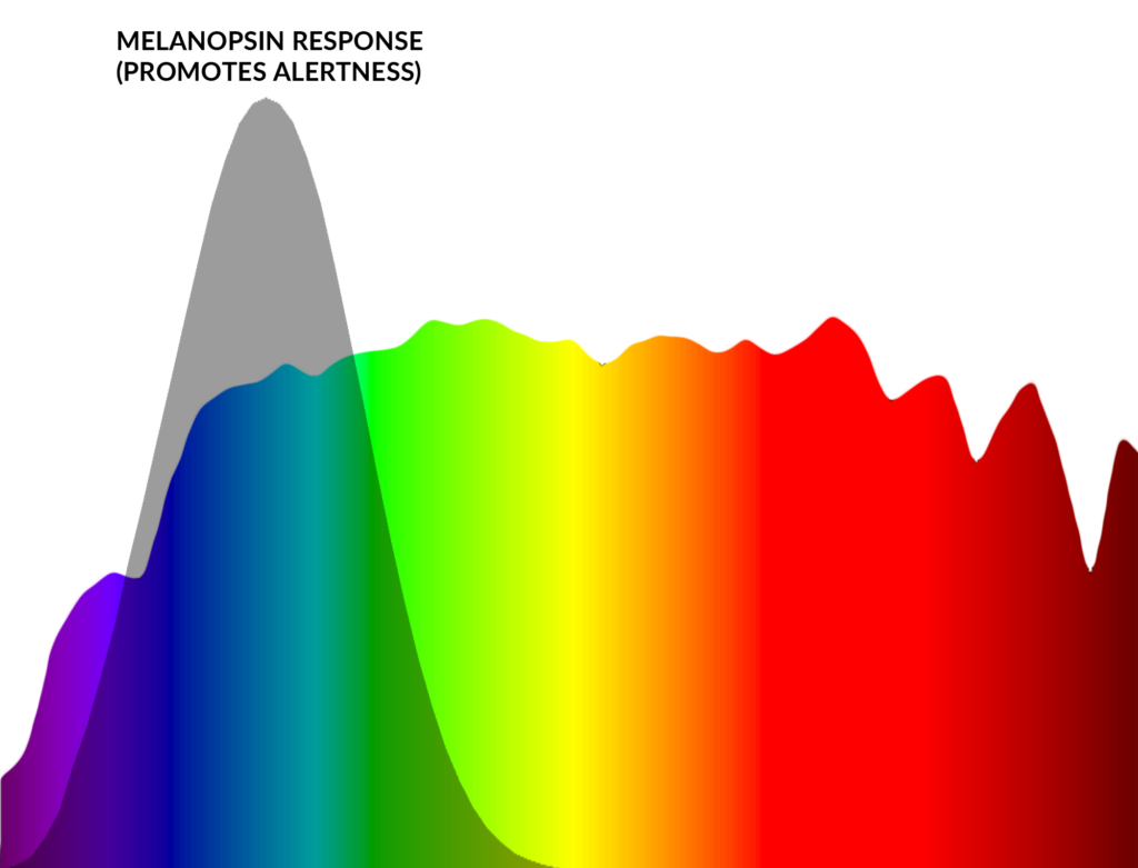 Melanopsine actie spectrum