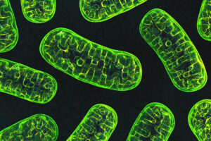 Licht therapie en mitochondrien
